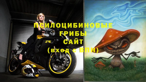 мдпв Алзамай