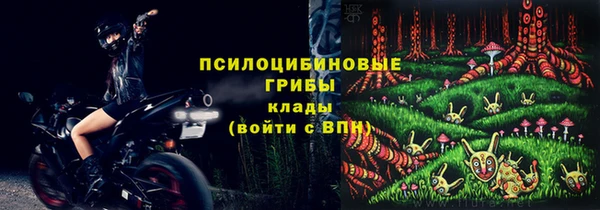 мдпв Алзамай